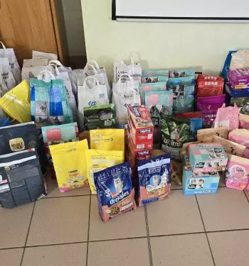 Cliquez-ici : Compétition "Les Pattounes du Coeur"