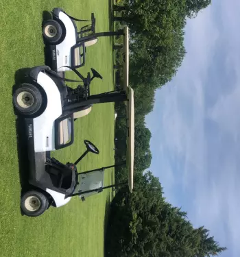 CLIQUEZ-ICI : INTERDICTION  des voiturettes